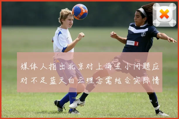 媒体人指出北京对上海五小问题应对不足蓝天白云理念需结合实际情况
